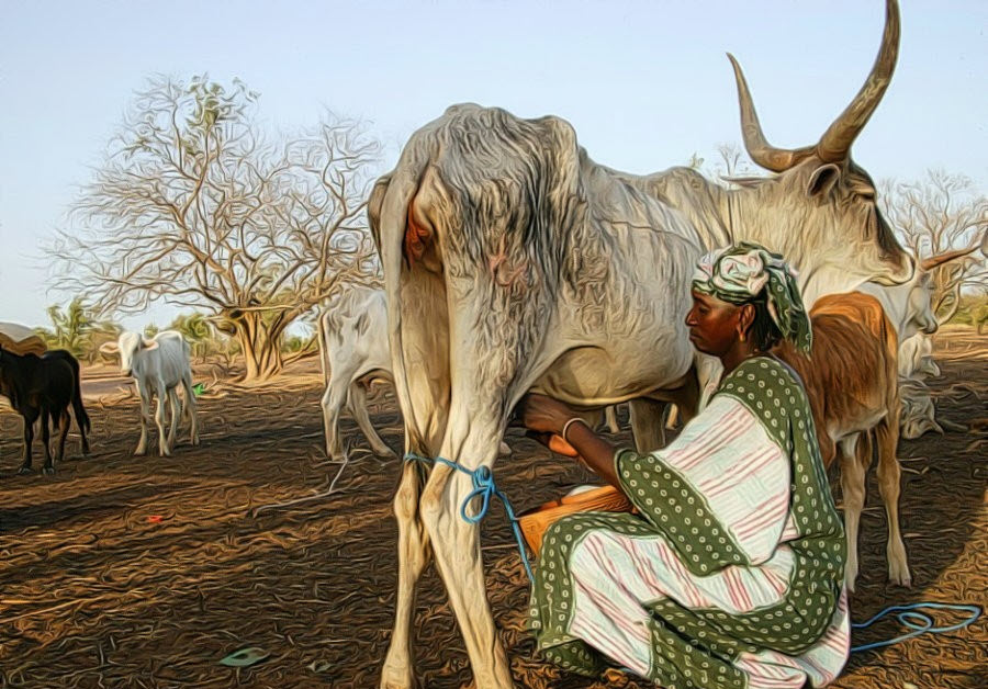 Pastoralists